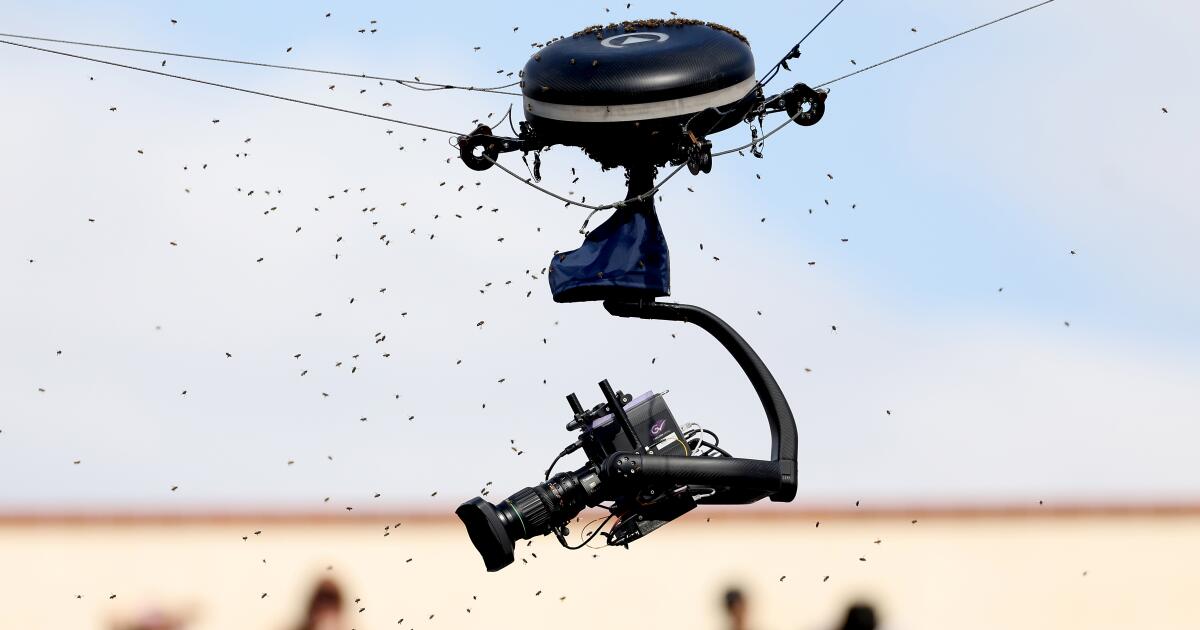 Featured image for "Beekeeper's Heroic Intervention Calms Tennis Star Amid 'Bee Invasion' at Indian Wells"