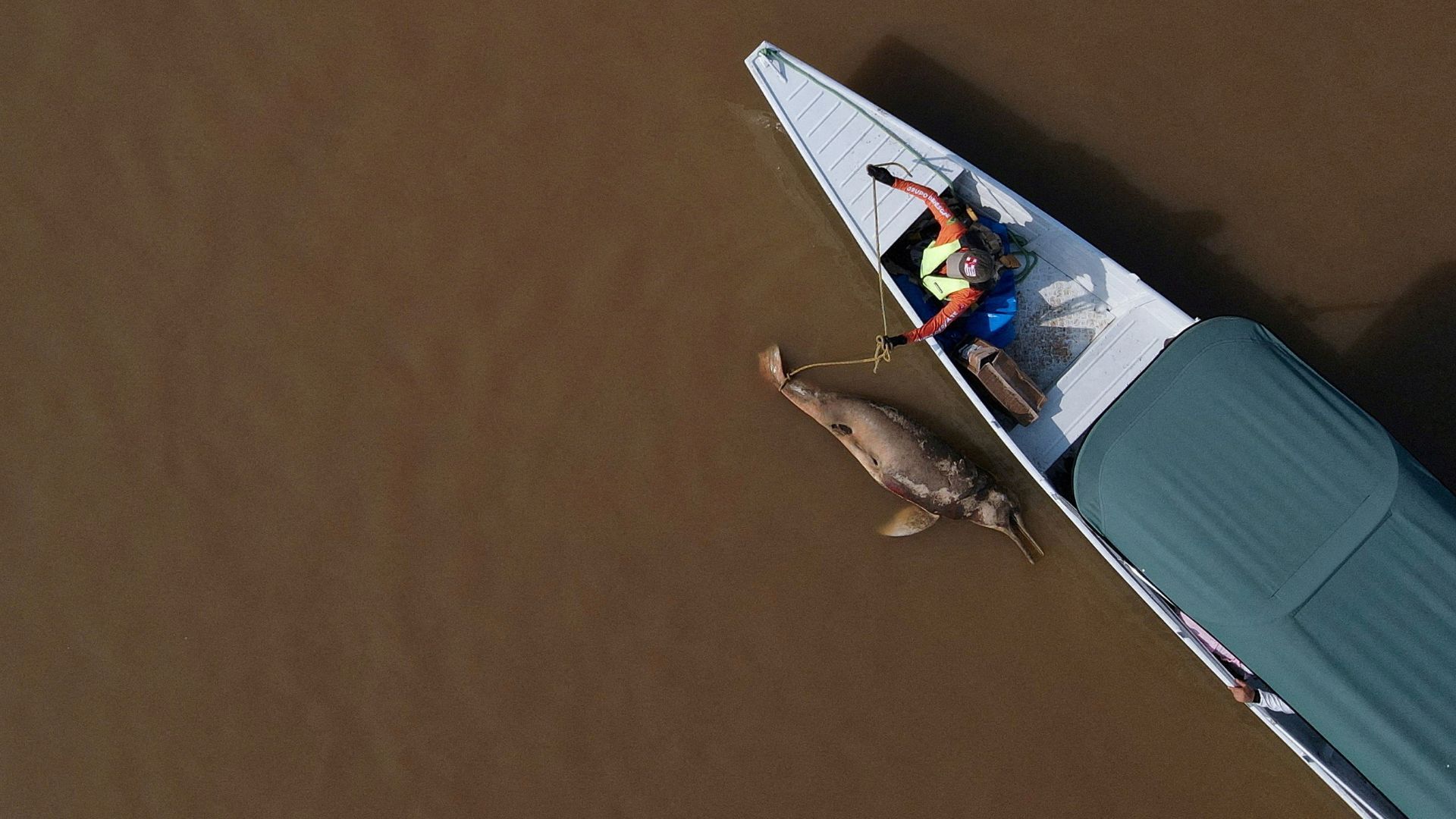 "Study Links Unprecedented Amazon Drought to Global Warming"