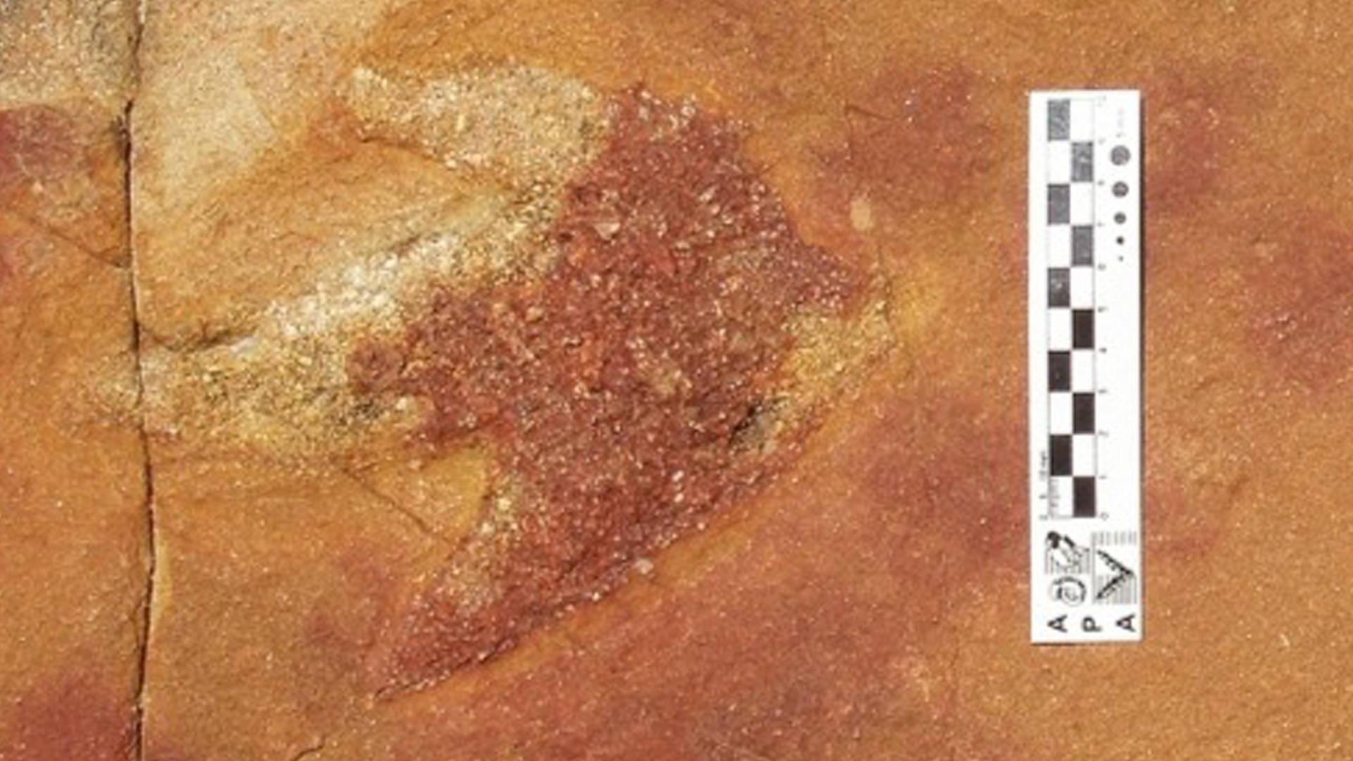 Featured image for "Discovery: Ancient Carvings Near Dinosaur Footprints Uncover Lost History"