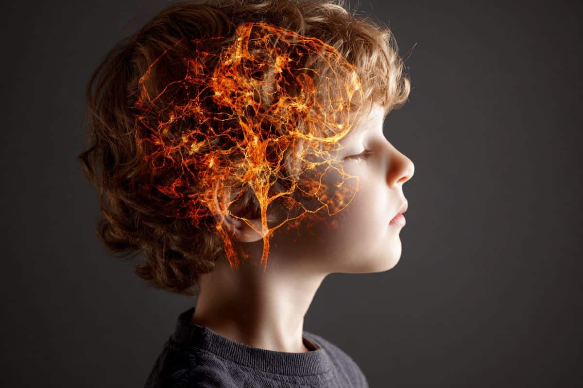 Featured image for Potential Link Between Brain Receptor and Autism Uncovered