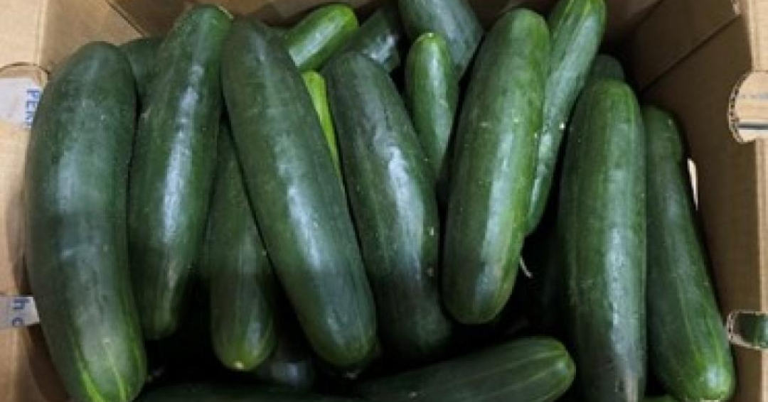Cucumbers Recalled in 14 States Over Salmonella Outbreak Concerns