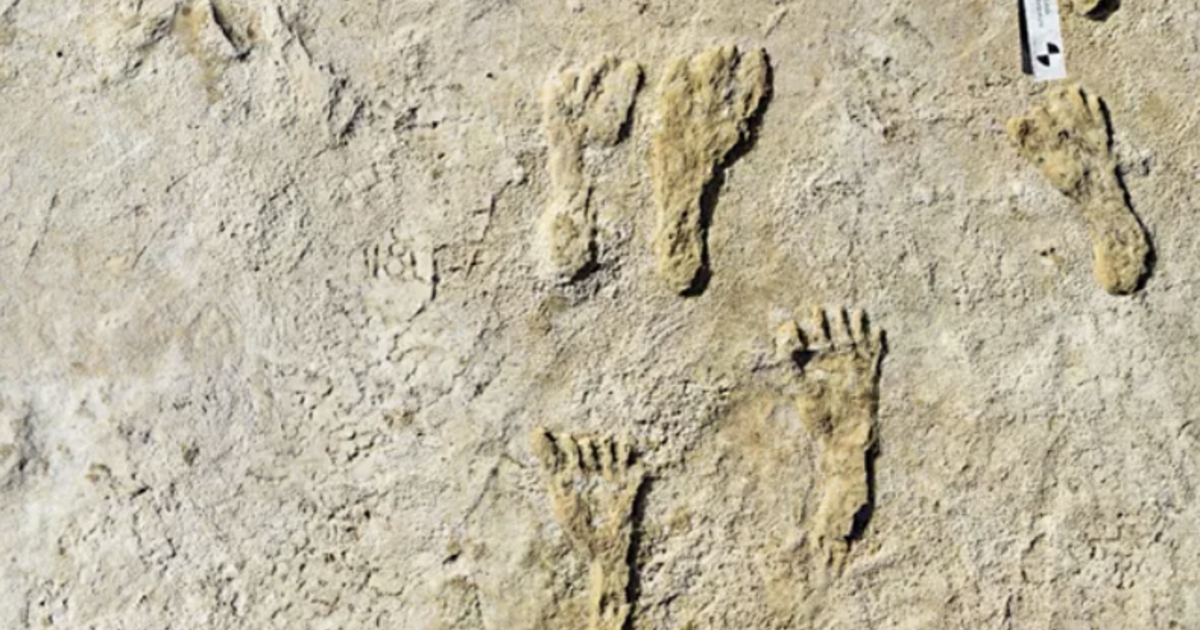 Featured image for Ancient Footprints in New Mexico Rewrite History of Human Arrival in Americas