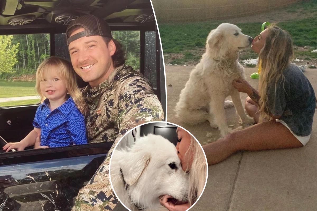 Featured image for Morgan Wallen's Son Attacked by Family Dog