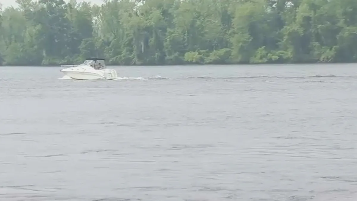 Featured image for Rabid Bobcat Attacks Connecticut Camp Counselor While Sleeping