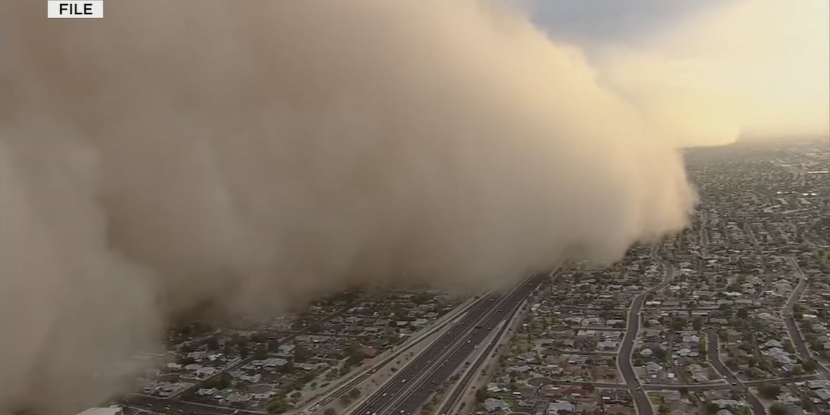 Featured image for "Unveiling the Truth: Debunking Valley Fever Myths Amid California's Changing Climate"