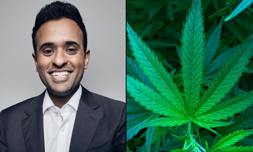 GOP Presidential Candidate Ramaswamy Discusses Marijuana Legalization with Bill Maher, Garnering Praise