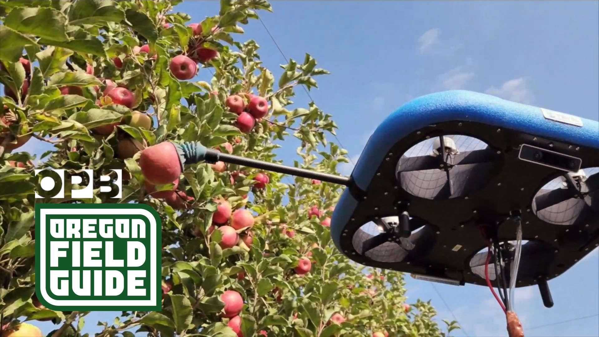 Robots to Revolutionize Apple Picking in Northwest