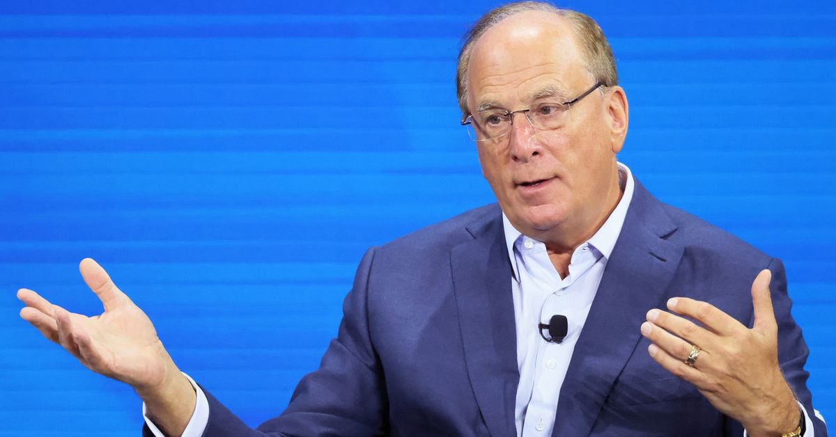 "BlackRock's Fink Discusses Potential Ether ETF and Bitcoin's Market Impact"