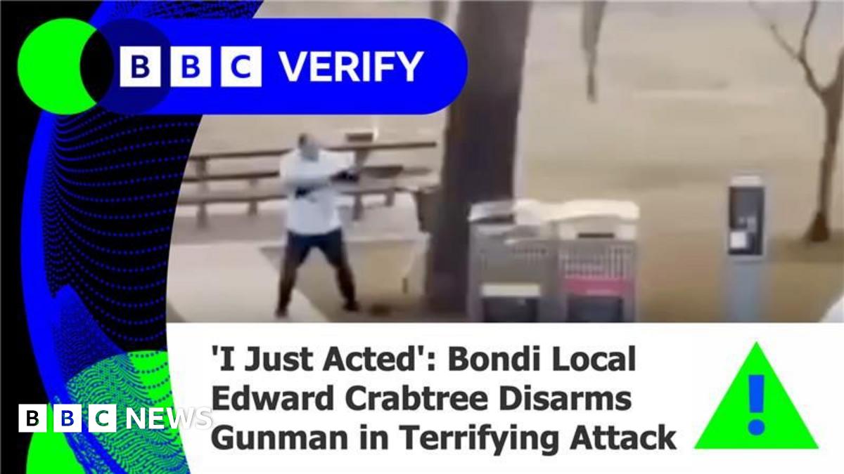 Featured image for Fake News Website Spreads Misinformation Post-Bondi Beach Shooting