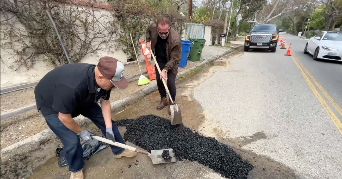 Featured image for Arnold Schwarzenegger Takes Matters into His Own Hands and Fills LA Pothole.