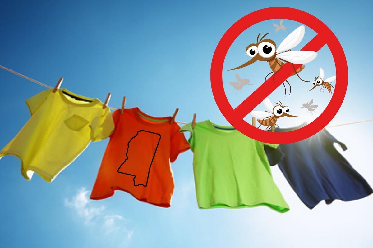 Featured image for "4 Colors to Avoid Wearing This Summer to Keep Mosquitoes Away"