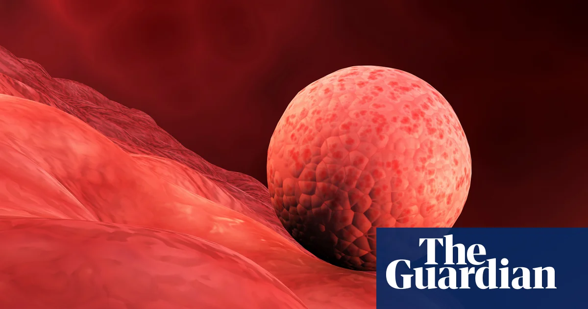 Featured image for Scientists Develop Artificial Womb Lining for Embryo Implantation