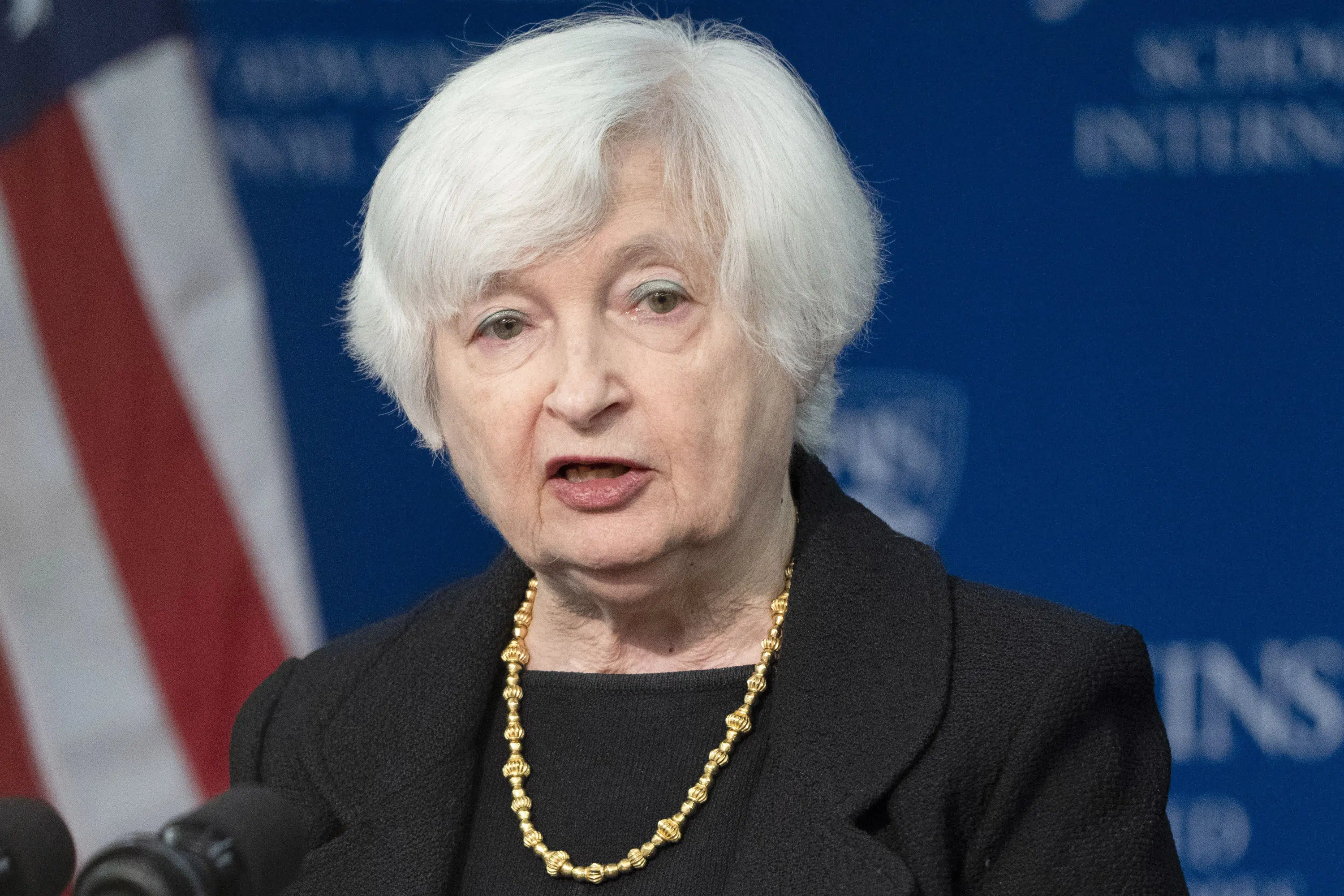 Yellen urged to disregard 'unconstitutional' debt limit lawsuit.