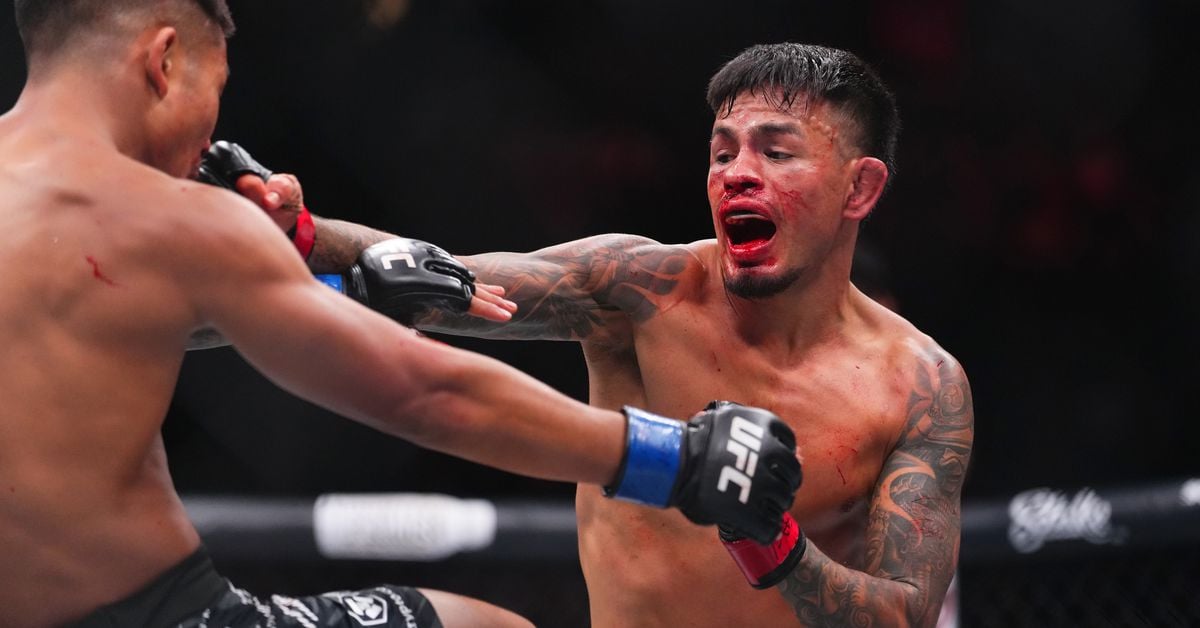 Featured image for UFC 317 Highlights: Royval, Van, and Topuria's Title Wins