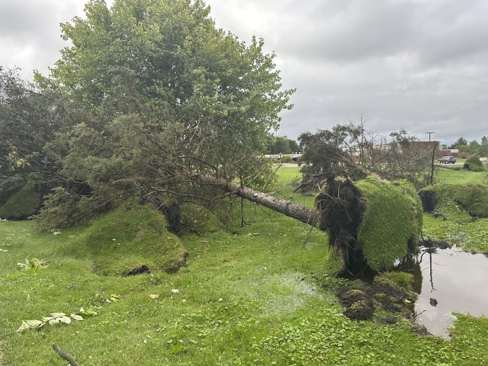 Michigan Hit by Four Confirmed Tornadoes, National Weather Service Reports