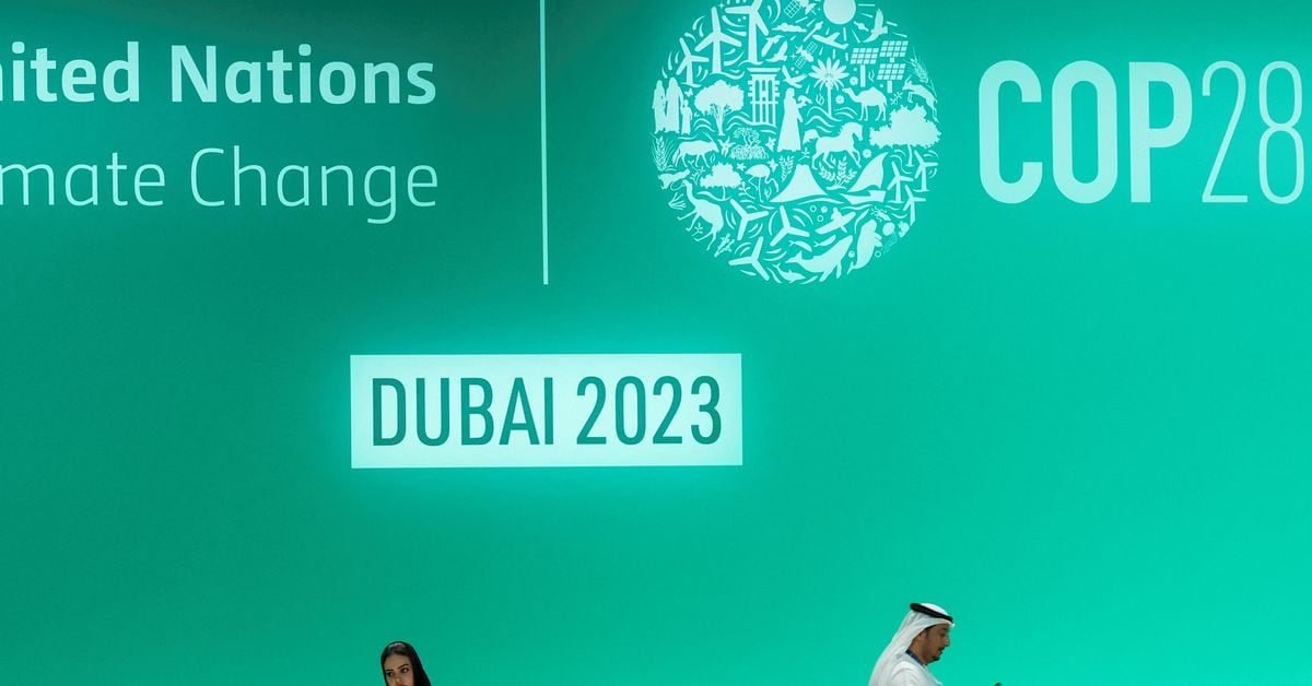 Featured image for Uncovering the COP28 Climate Deal's Loopholes and Nature's Role in the Transition Away From Fossil Fuels