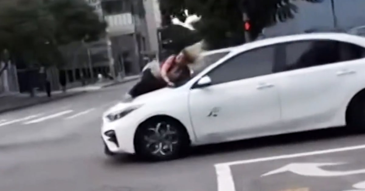 Featured image for Woman Clings to Car Hood in Dramatic Attempt to Rescue Stolen French Bulldog