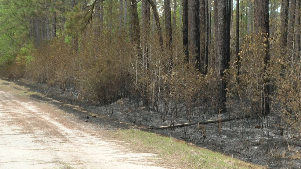 Wildfires Ravage Croatan National Forest and Great Lakes Region