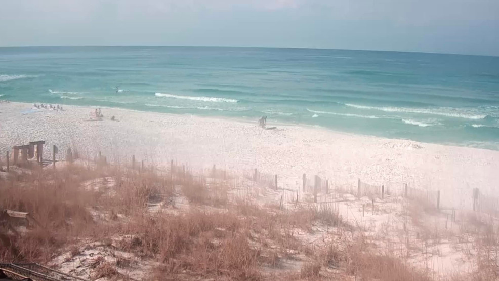 Multiple Water Rescues Result in Critical Injuries and Tragic Losses in Gulf Shores and Miramar Beach.