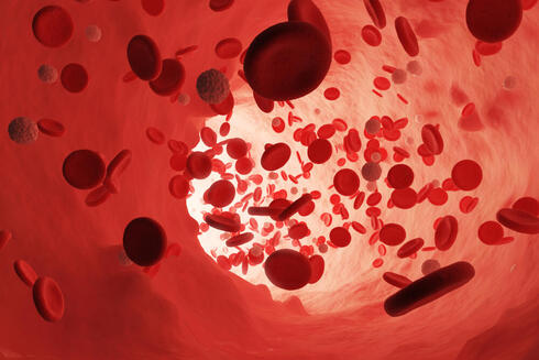 Featured image for "Israeli scientists develop potential cure for anemia"