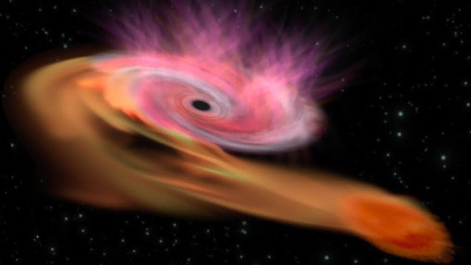 Astronomers catch a rare middleweight black hole shredding a star