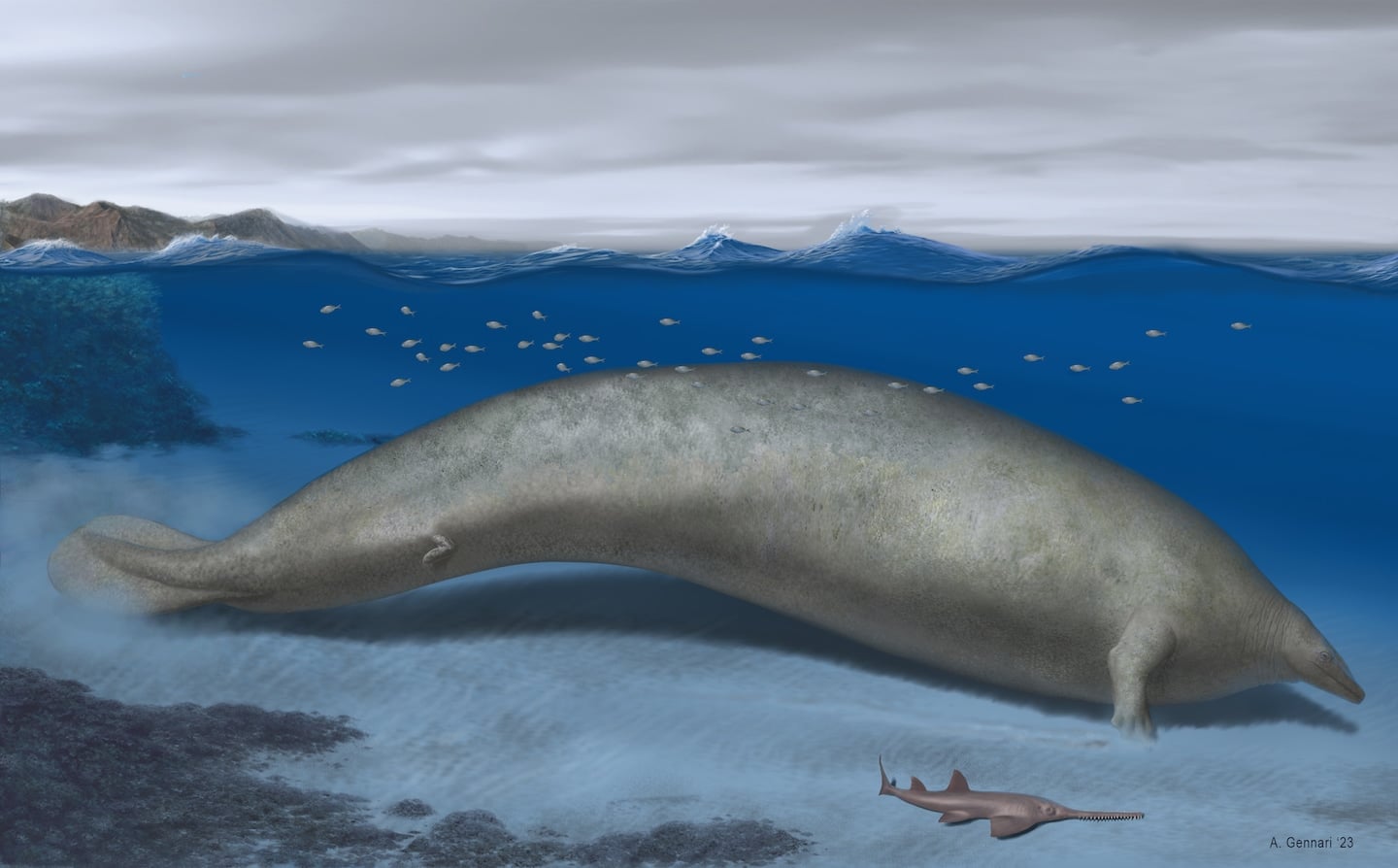 Featured image for "Unearthing Earth's Largest Animal: The Ancient Whale That Could Have Been the Heaviest Ever"