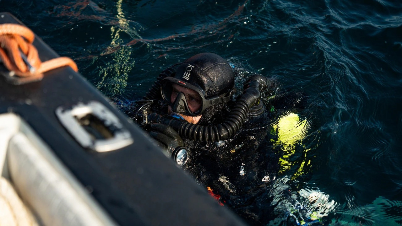 Featured image for Reviving 19th-Century Rye from Michigan's Shipwrecked Seeds