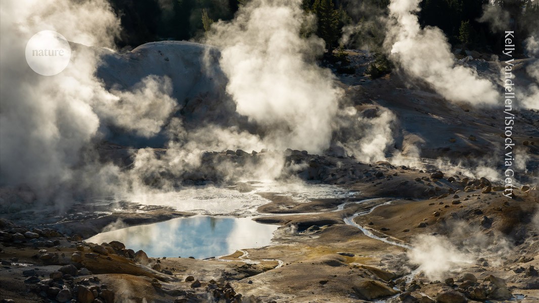 Featured image for Fire Amoeba Sets New Heat Tolerance Record in Extreme Environments