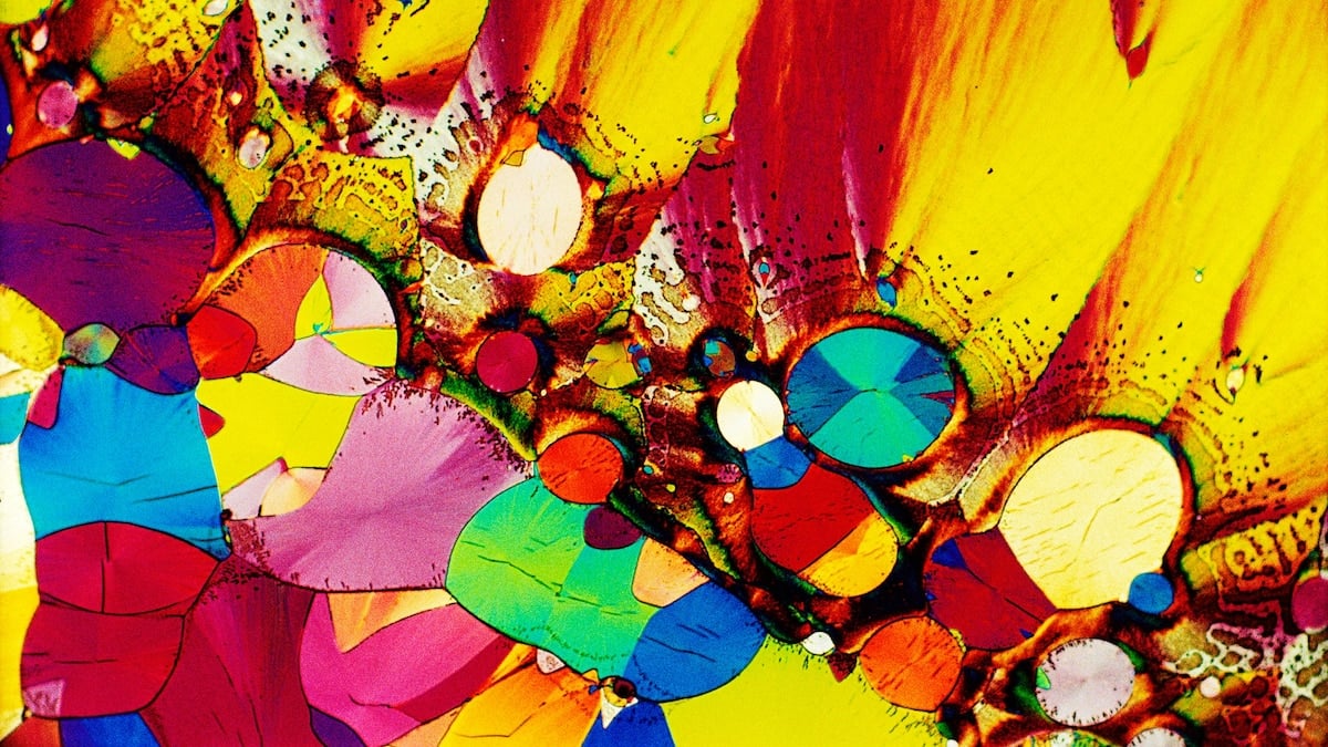 Featured image for "Understanding Serotonin: Separating Fact from Fiction"