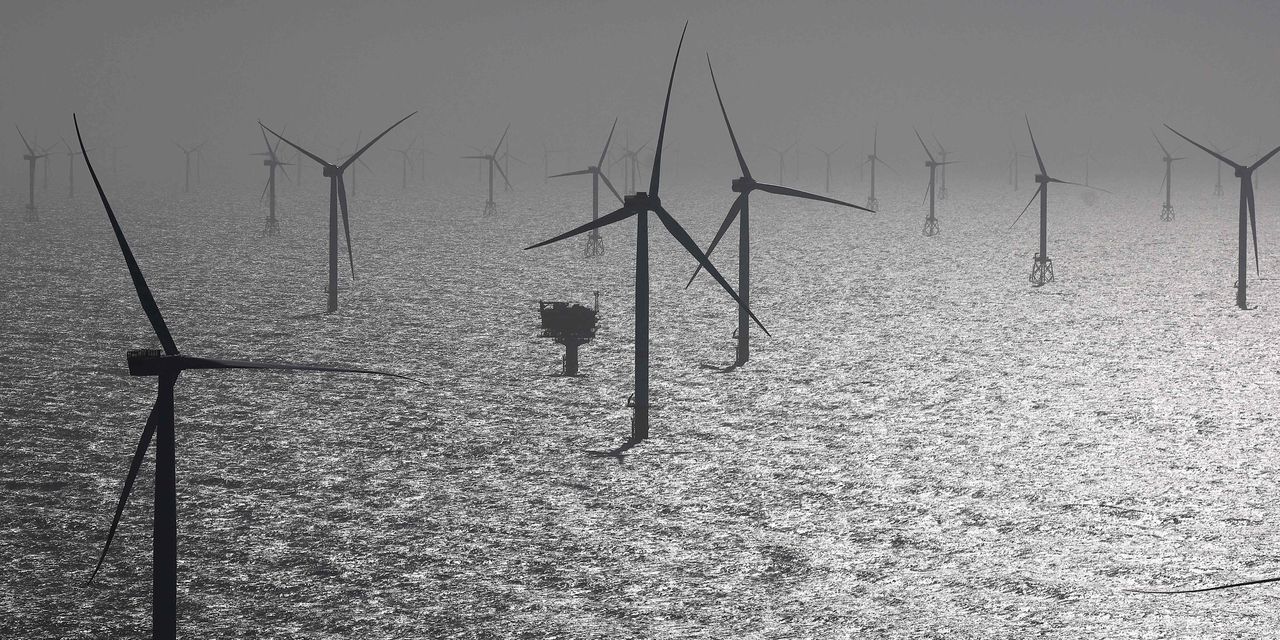 Spotting Winners and Losers in the Shift to Renewable Energy