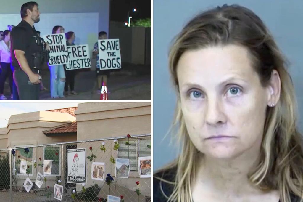 Massive Animal Abuse Case Uncovered: 55 Dogs Rescued, Dead Puppies Found in Freezer