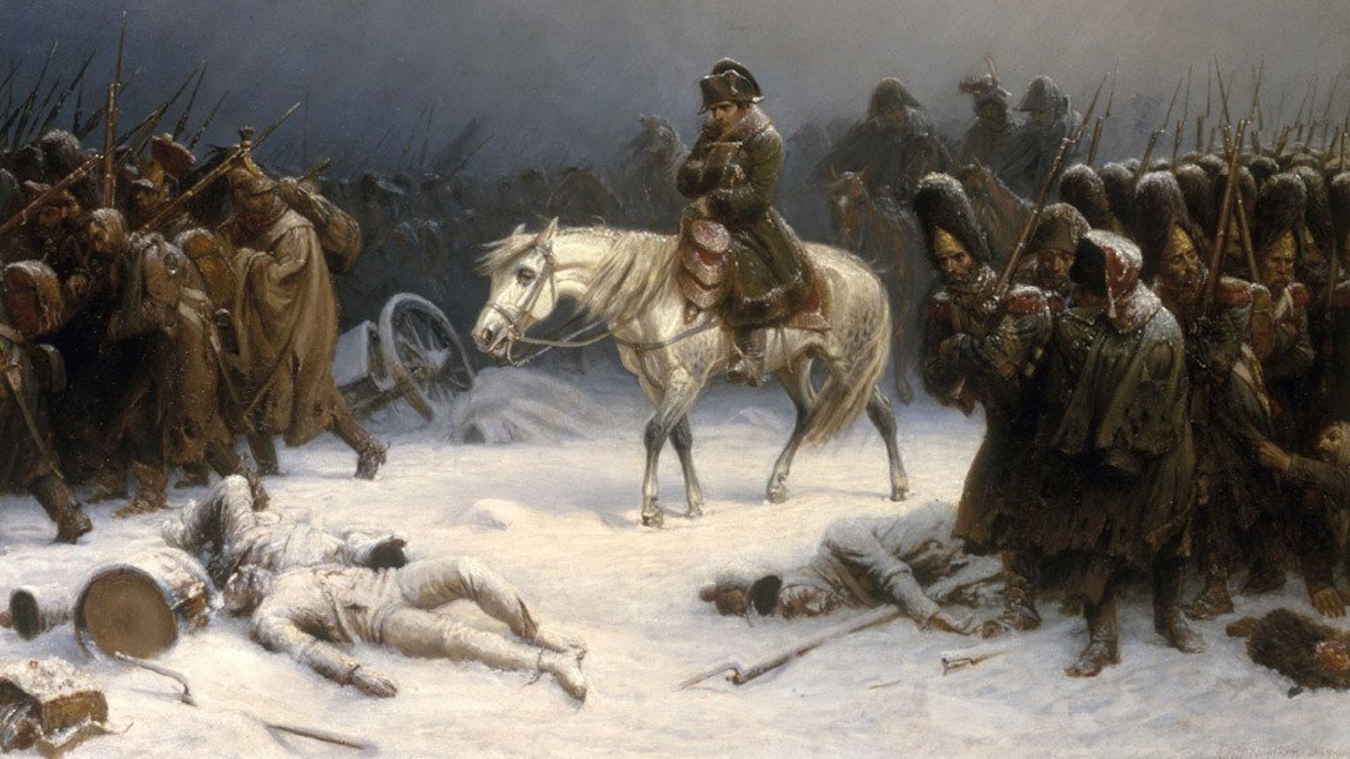 DNA analysis uncovers disease causes of Napoleon's 1812 army demise