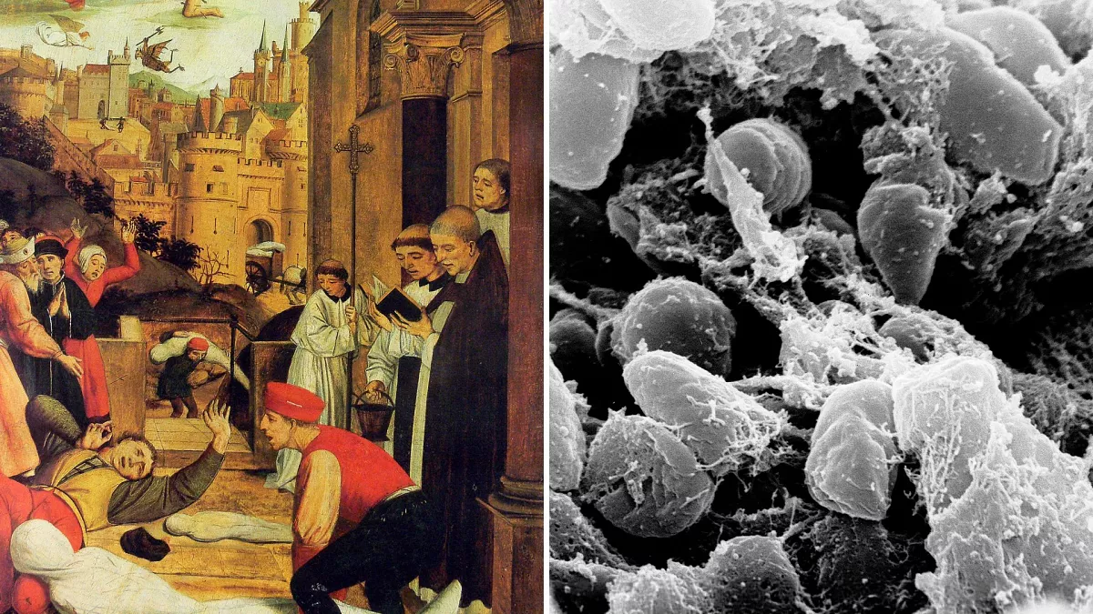 Featured image for Ancient DNA Uncovers the Origin of the World's First Pandemic