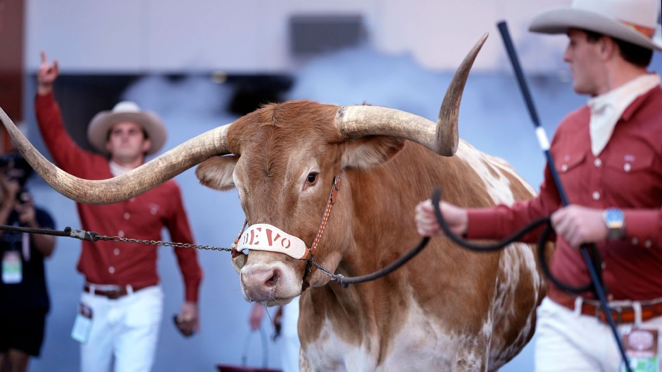 Featured image for Bevo Barred: Texas Longhorns' Mascot Denied Entry to SEC Championship