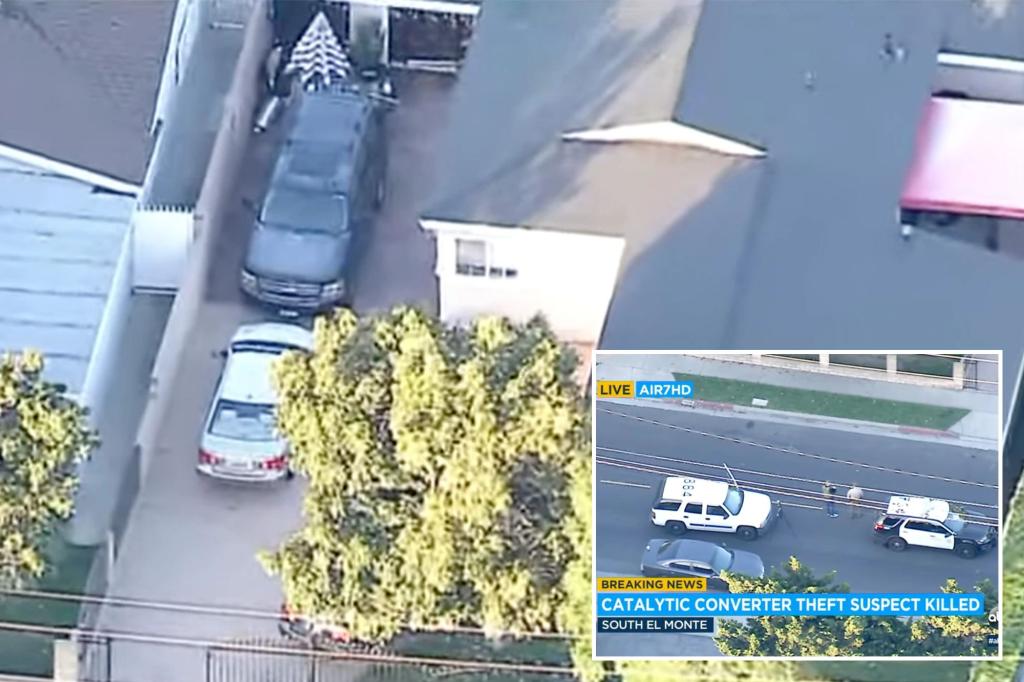 California homeowner fatally stabs catalytic converter thief in driveway.