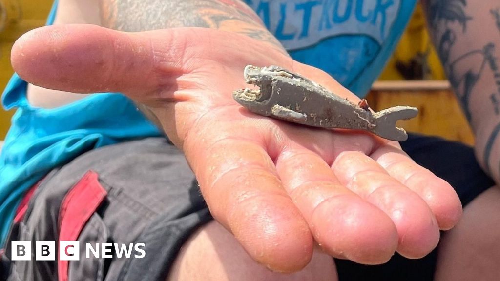 Featured image for Lego Shark Found Off Cornwall Goes to Auction