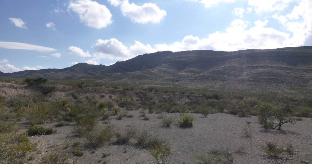 Featured image for "UT Austin Unearths Texas' First Jurassic Vertebrate Fossils, Unveiling Ancient Sea Creatures"