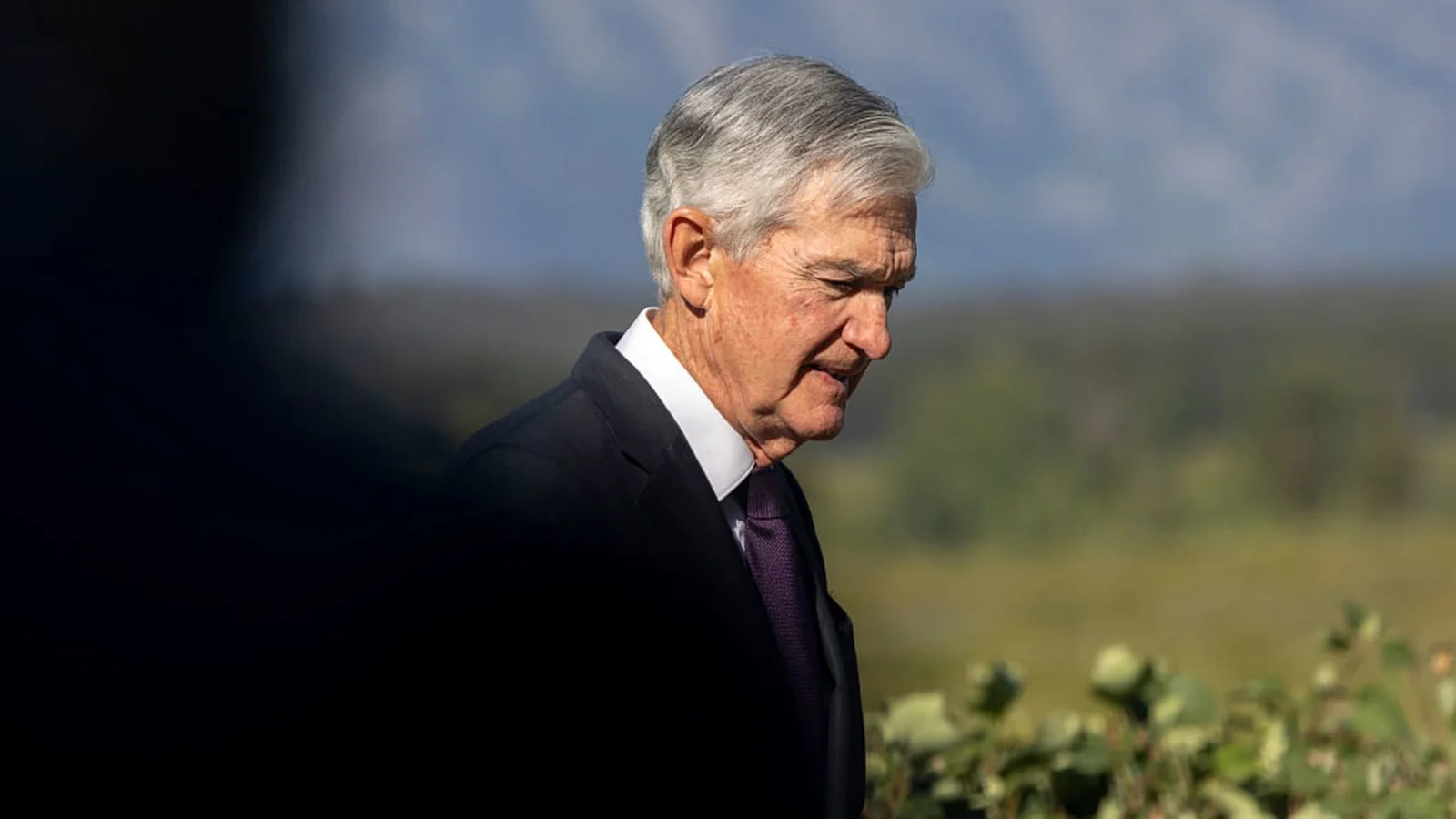 Markets Rally on Expectations of Fed Rate Cuts and Economic Stability