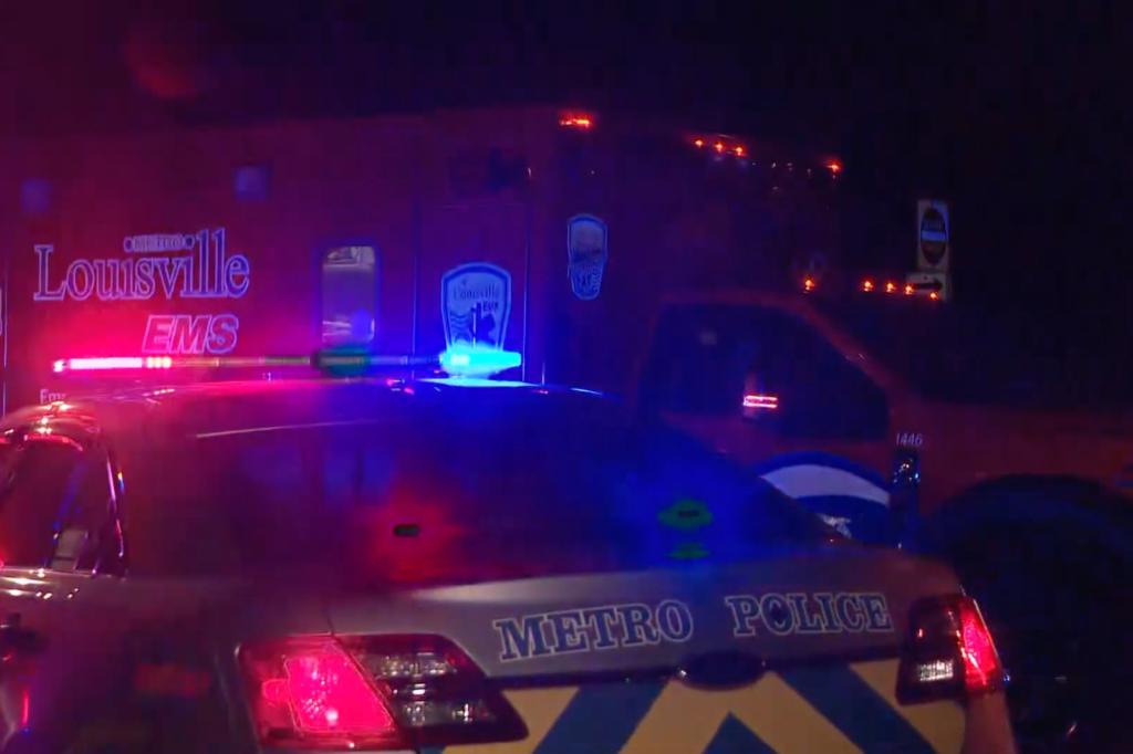 Deadly shooting at Louisville's Chickasaw Park leaves 2 dead and 4 injured.