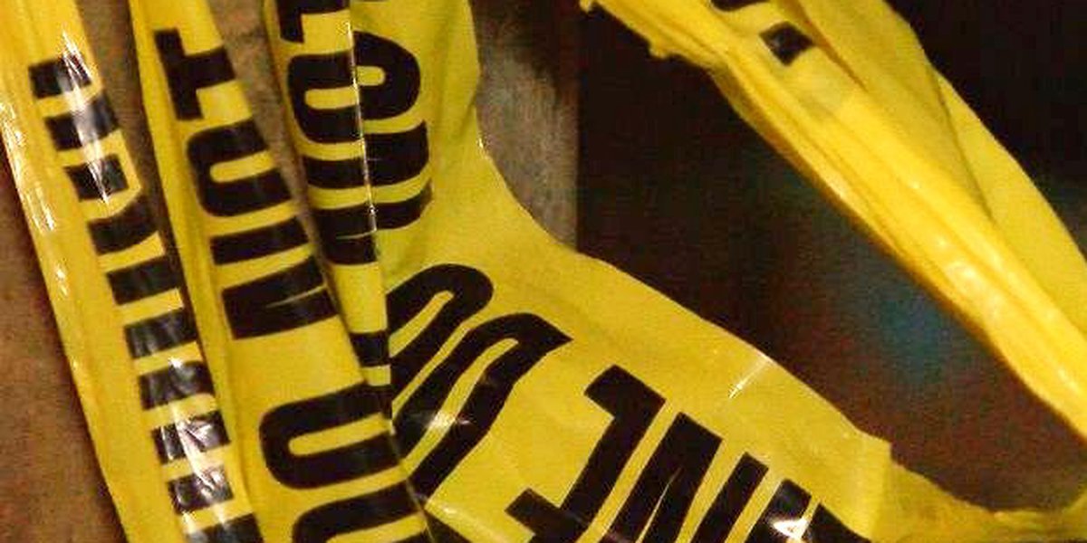 Tragic Accident Claims Toddler's Life in Anderson Co.