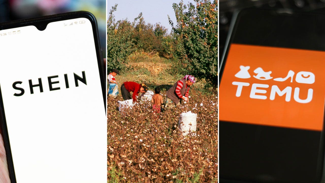 US Congressional Report Exposes Forced Labor in Chinese Businesses Operating in America