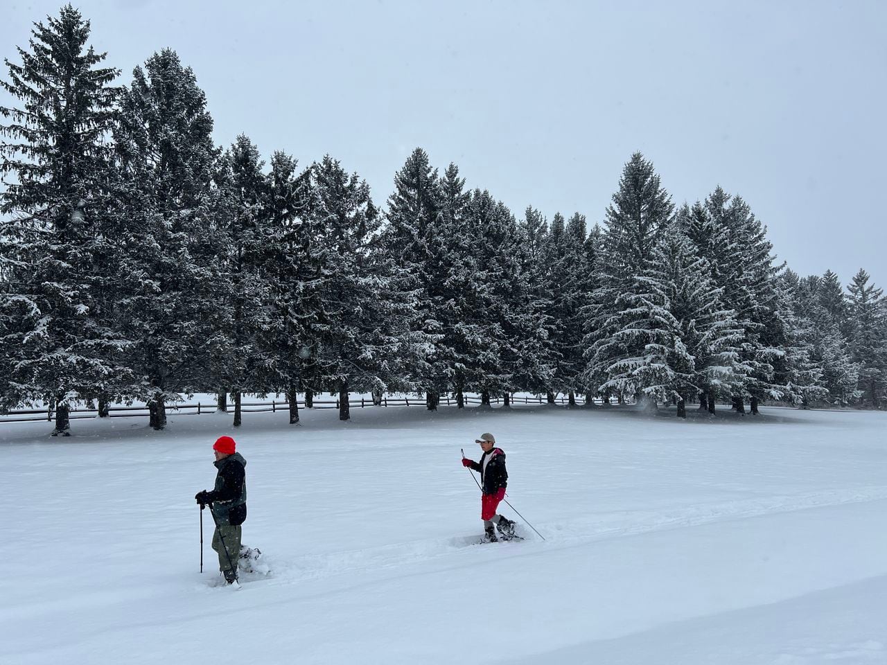 Featured image for "Upstate NY Braces for Snowy Weekend as Winter Storms Continue"