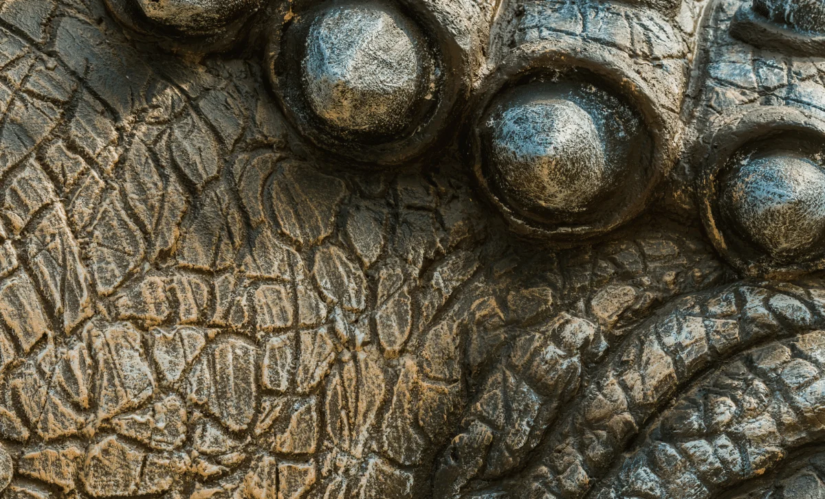 Ancient Reptile Skin Unearthed in Oklahoma Cave Rewrites Land-Life Timeline