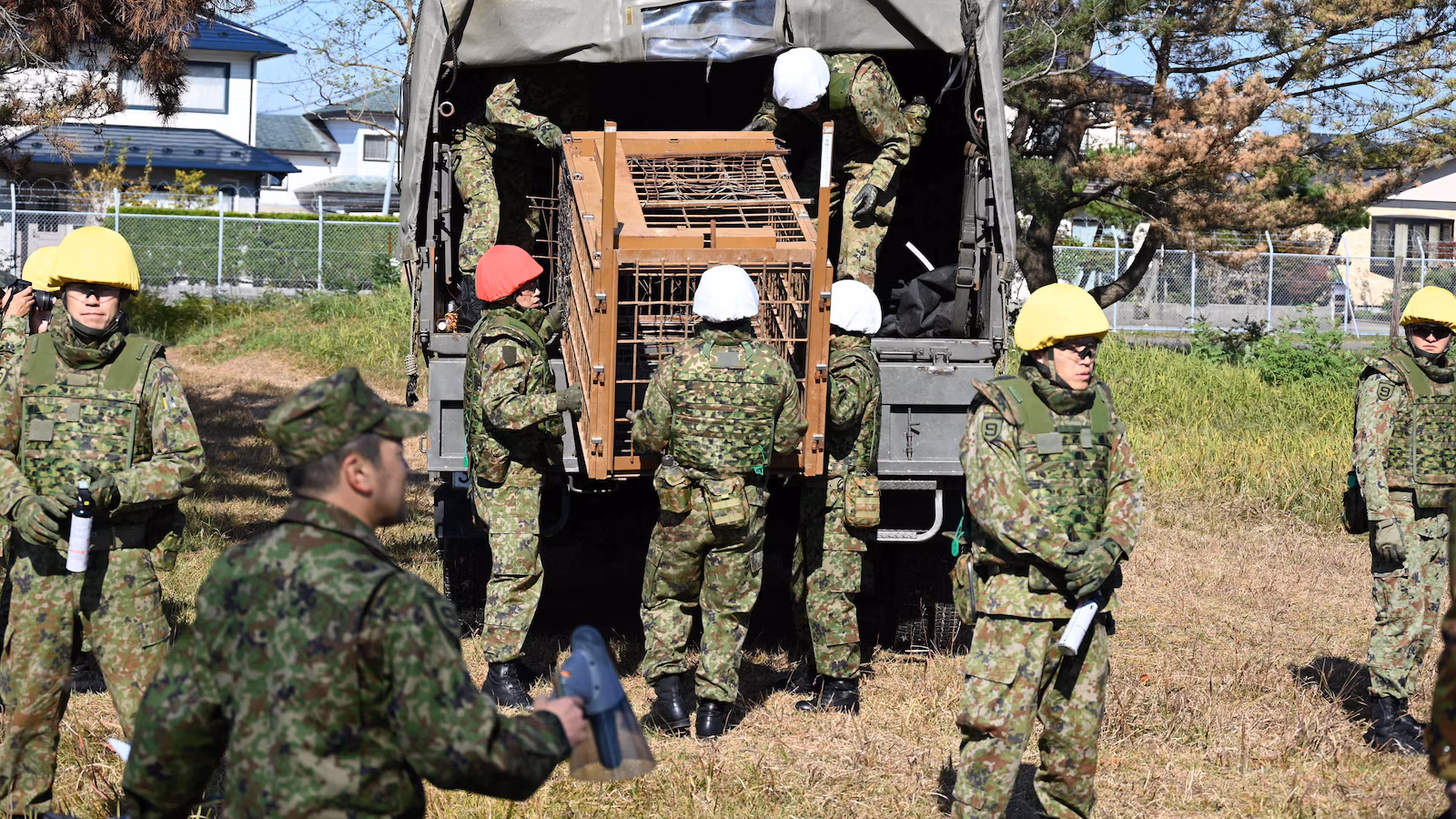 Featured image for Japan deploys troops and hunters to combat rising bear attacks