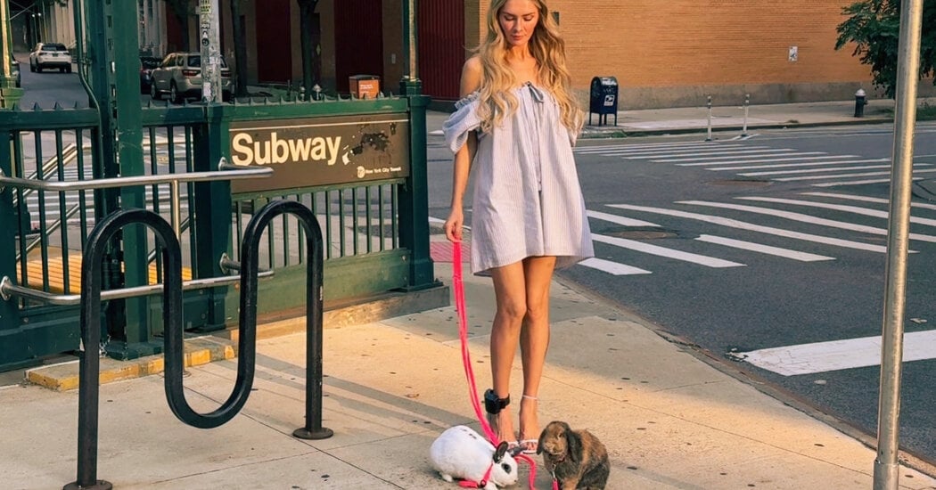 Featured image for Anna Delvey Denies Involvement in Bunny Abandonment After Photoshoot