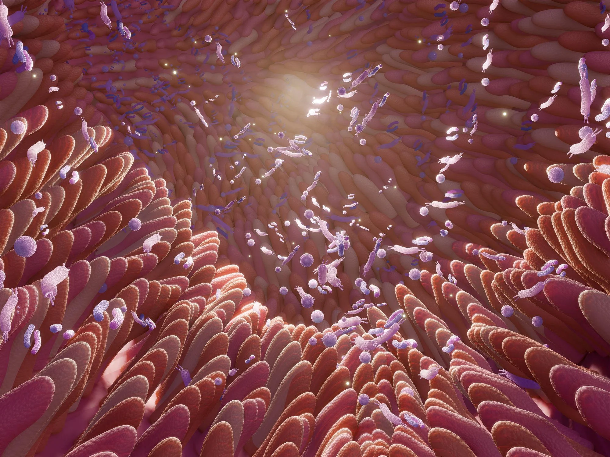 Featured image for AI Unveils the Hidden Language of Gut Bacteria