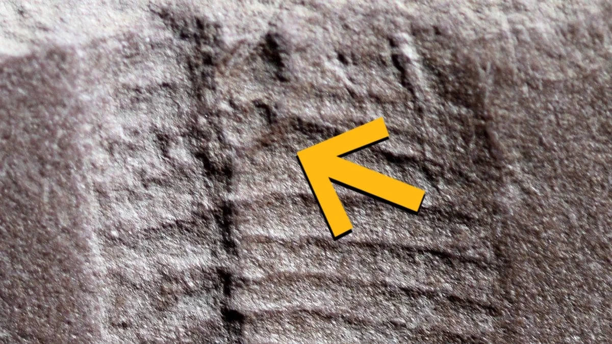 Ancient Reptile Resting Trace Reveals Earliest Cloaca in Amniotes