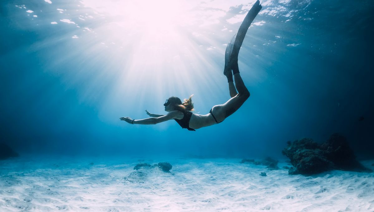 Featured image for Freediver Breaks World Record with 29-Minute Breath Hold