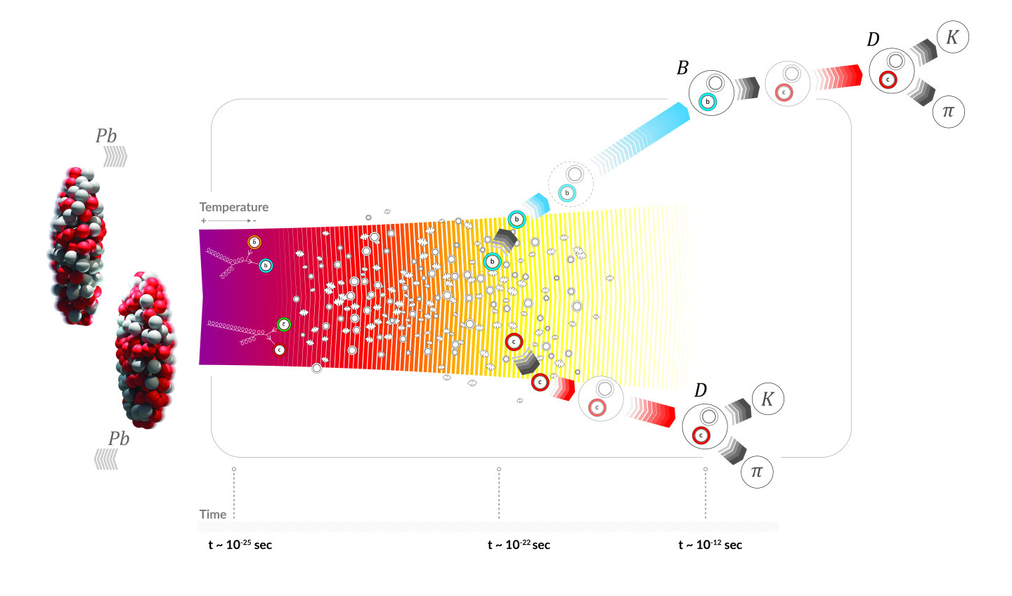Featured image for Insights into Charm and Beauty Particles in Quark-Gluon Plasma Revealed by ALICE Measurements