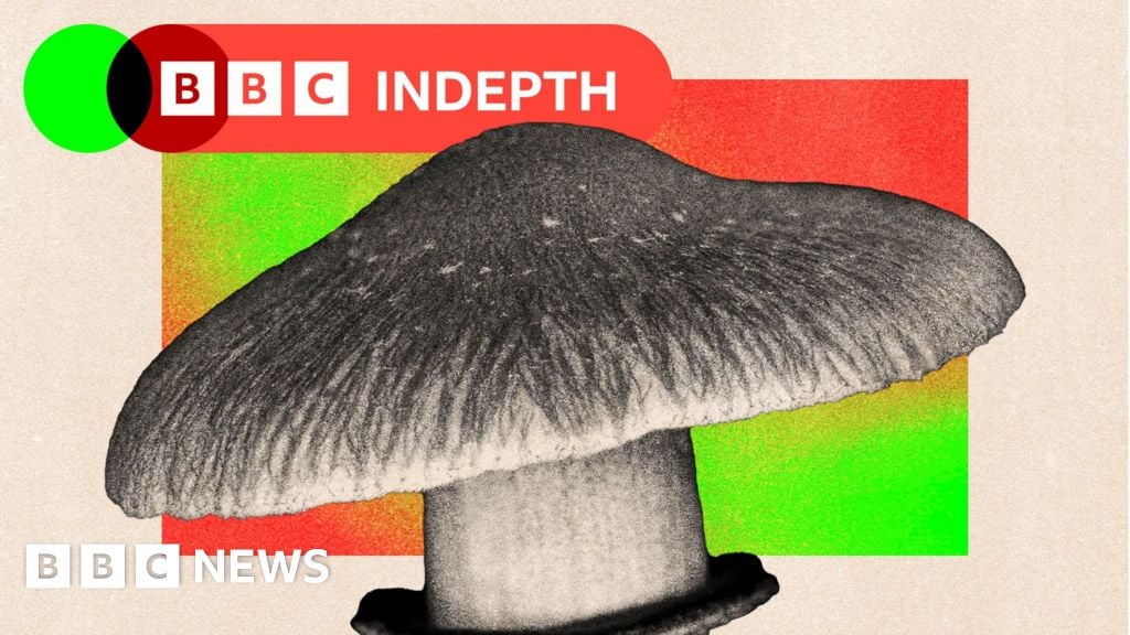 Featured image for Debate Sparks Over NHS Using Magic Mushrooms for Mental Health Treatment